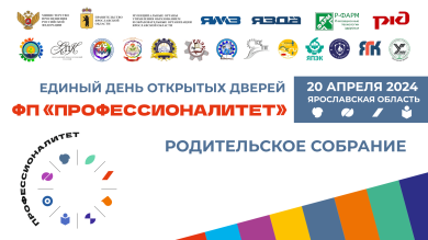 профессионалитет
